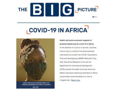 The Big Picture (June 2020 Issue)