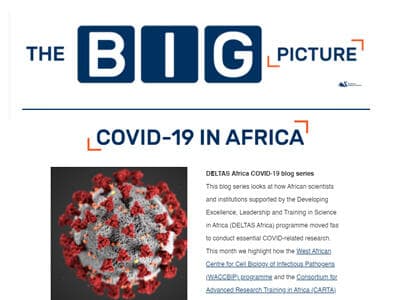 The Big Picture (January/February 2021 Issue)