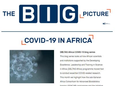 The Big Picture (March 2021 Issue)