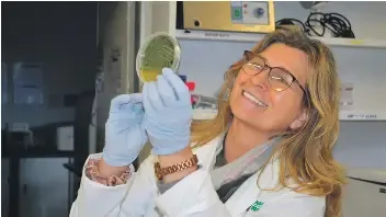 AAS President Lise Korsten Champions Safe Food for All