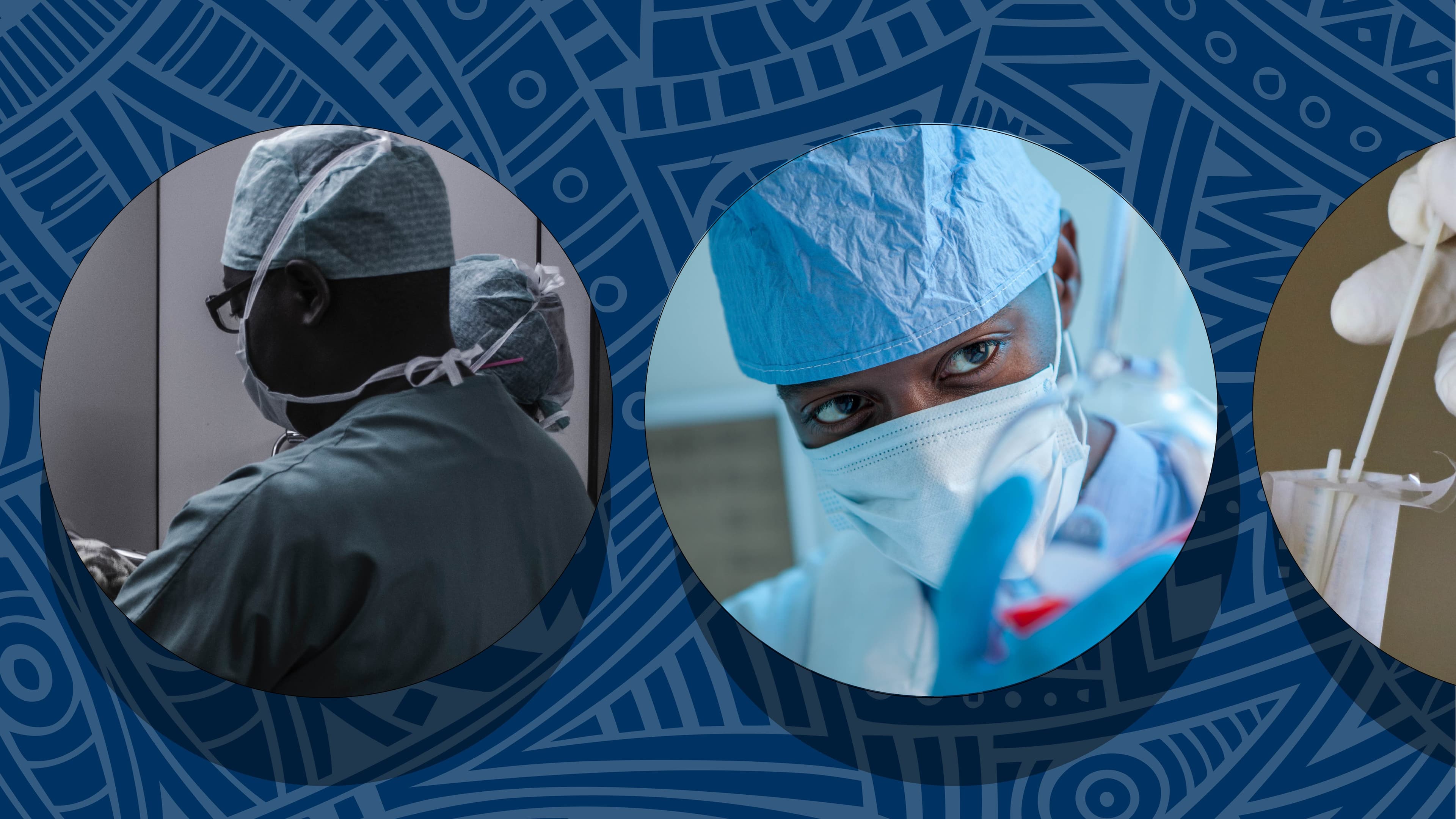 Honouring Excellence: AAS Welcomes 70 Newly Elected Fellows