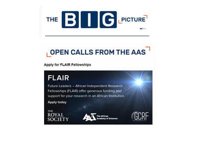Apply for FLAIR Fellowships