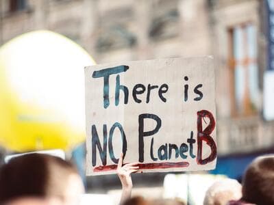 Climate change to cause abrupt species loss this century