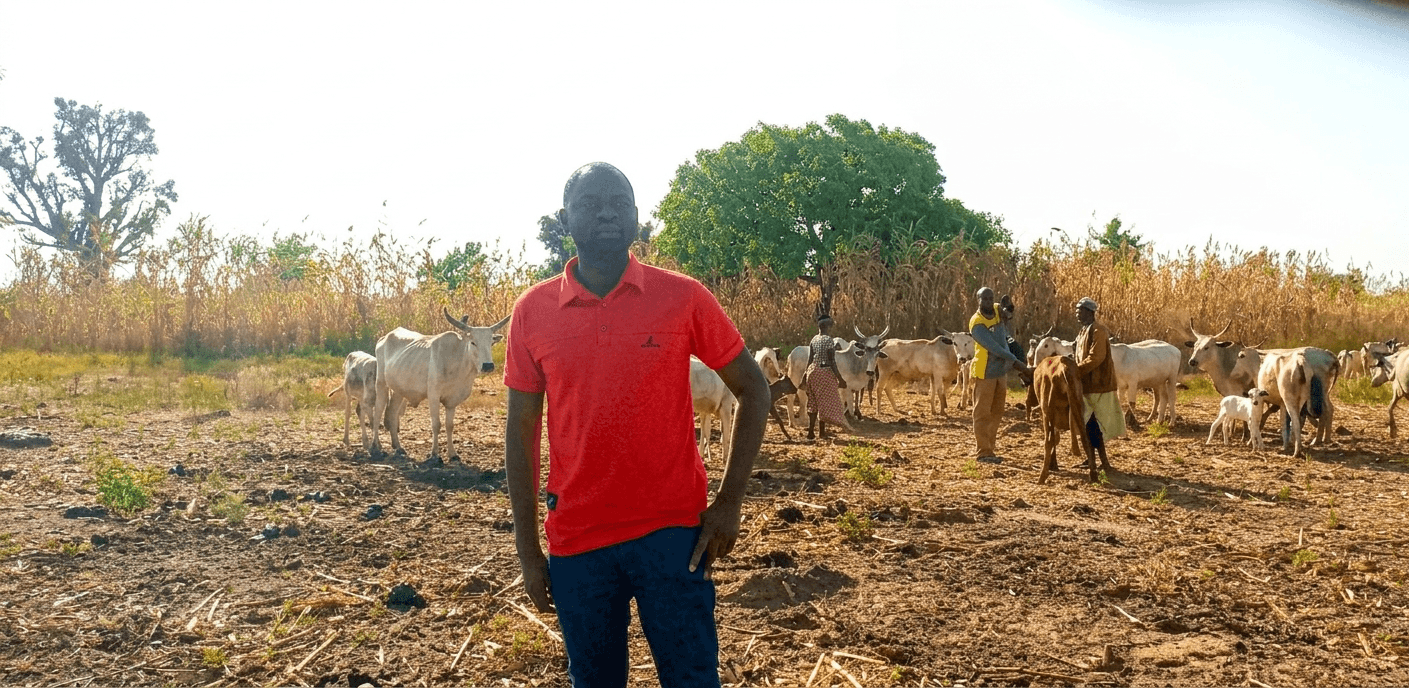 Rethinking Cattle Feeding in West Africa: How SmartBov Could Transform Livestock Production