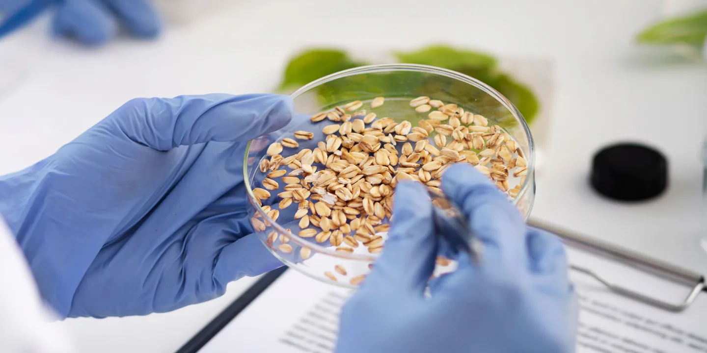 How science and AI can help us build safer, fairer food systems