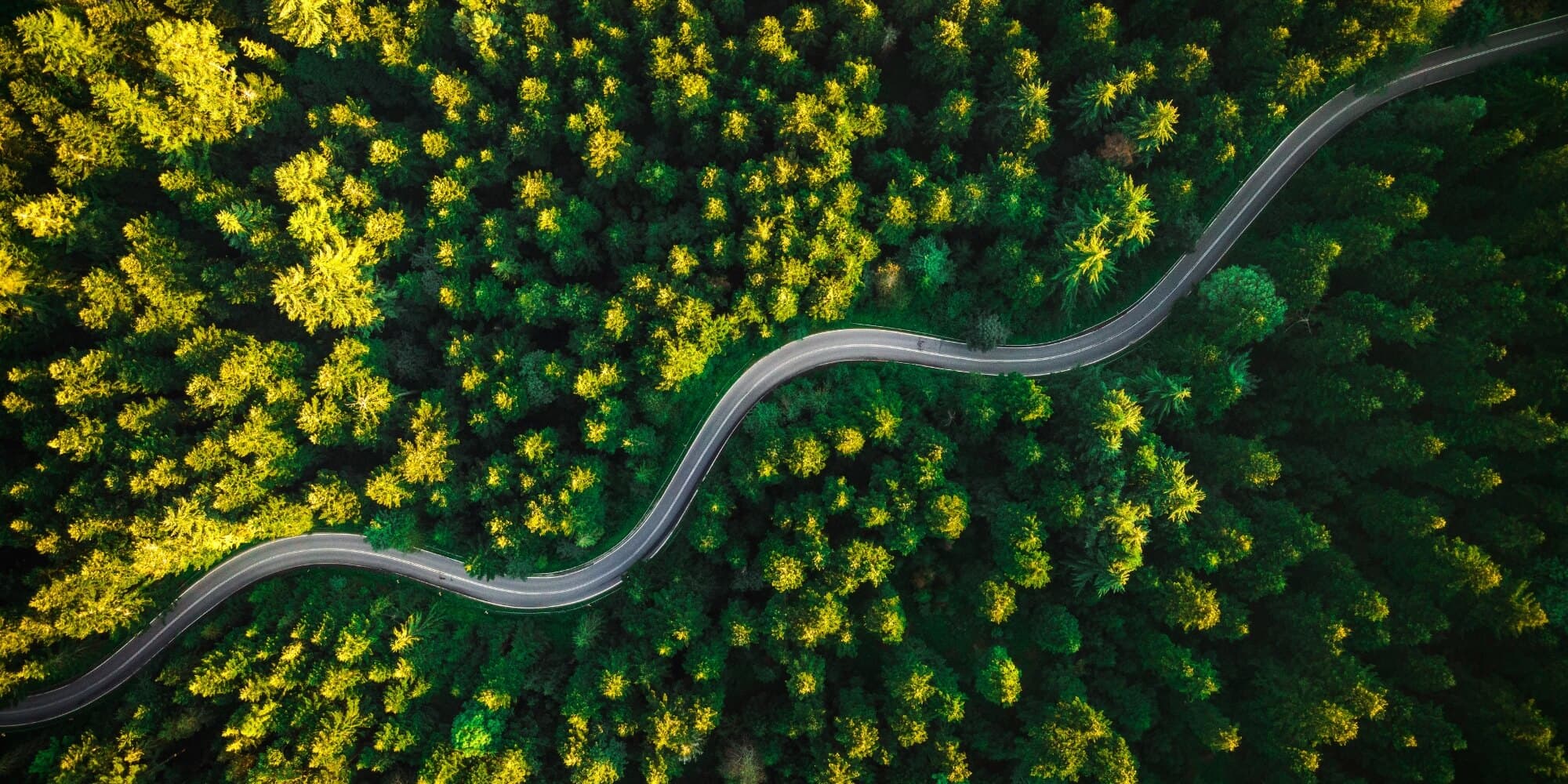 The African Planet Prize