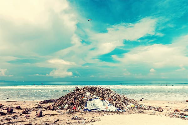 AAS Priorities for Climate Change and Development in Africa