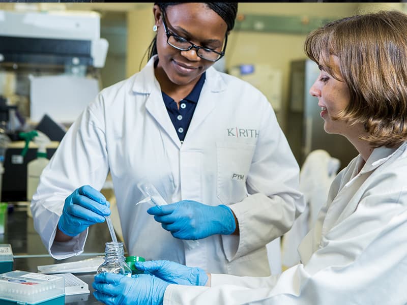 Factors which Contribute to or Inhibit Women in Science, Technology, Engineering, and Mathematics in Africa