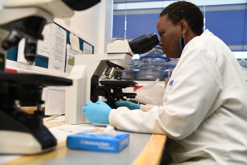 Quality Research in Africa and Why It Is Important