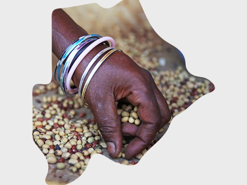 Harnessing Botswana’s development success to promote science, technology and innovation
