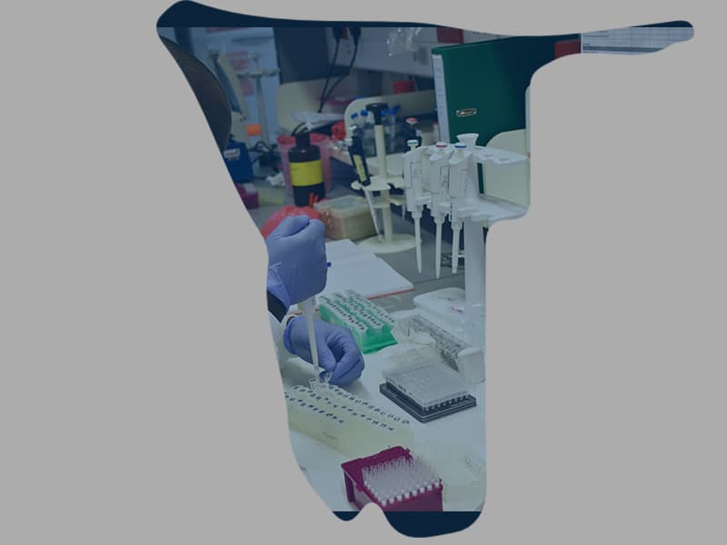 Accelerating Namibia’s R&D growth