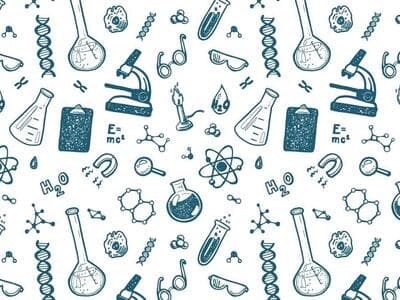 Seven early career scientists awarded AESA-RISE Postdoctoral fellowships