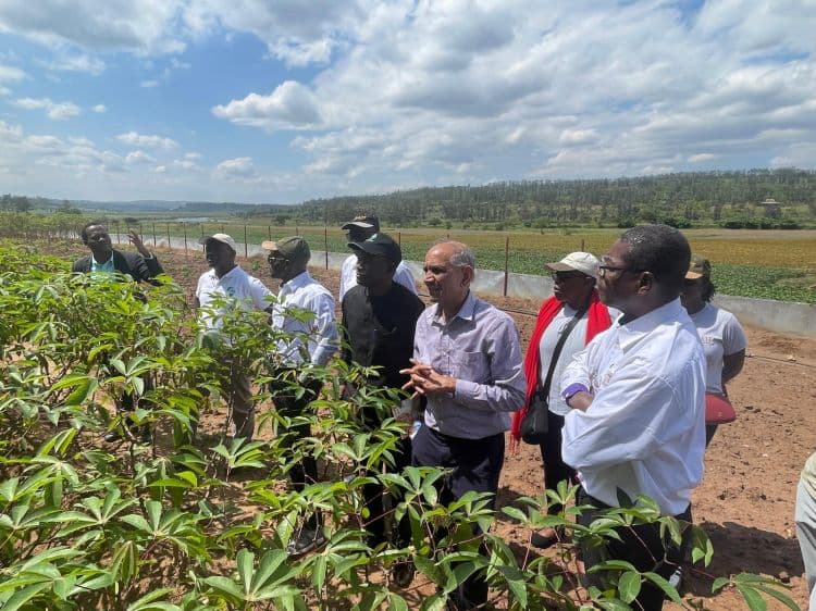 Maredia named Fellow of African Academy of Sciences