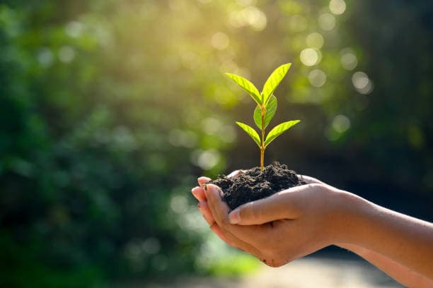 African Planet Prize (APP) Criteria For Research & Candidate Selection