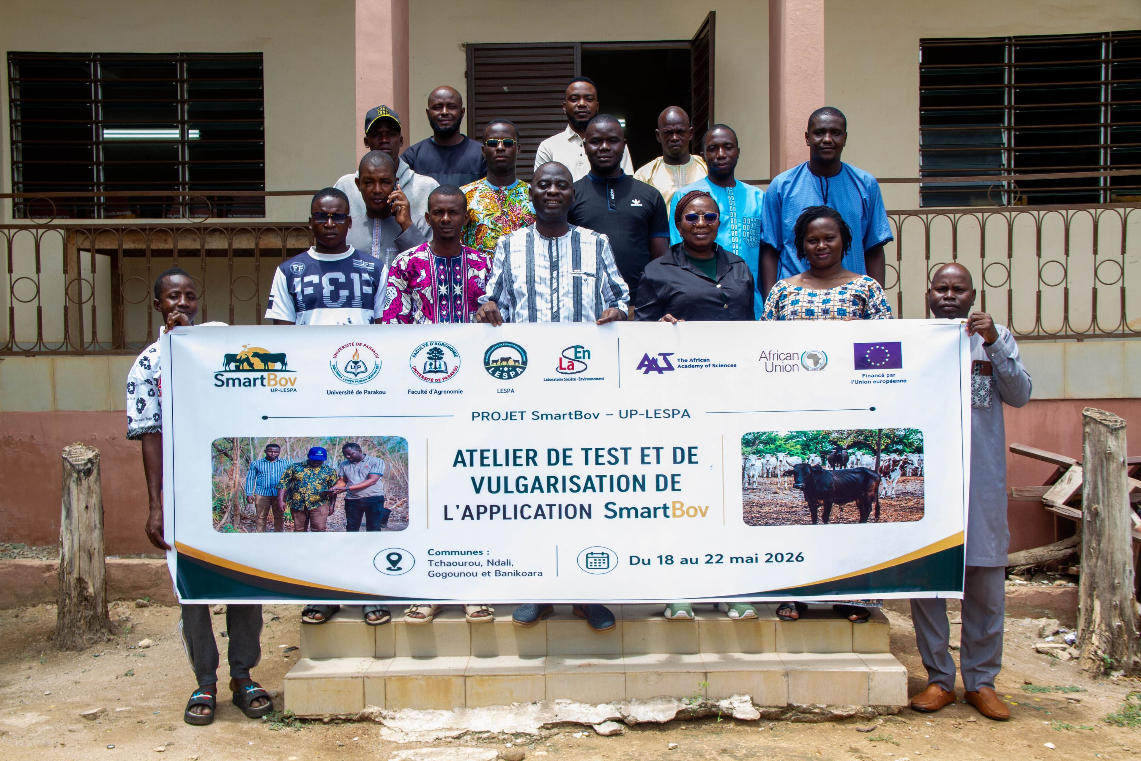 Rethinking Cattle Feeding in West Africa: How SmartBov Could Transform Livestock Production