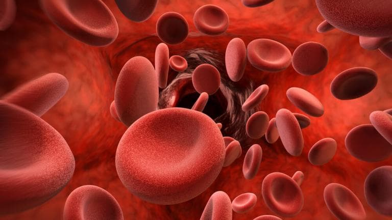 Sickle Cell Disease: Beyond Talking to Research